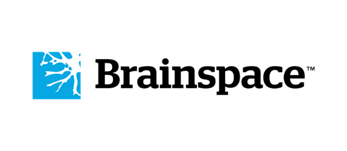 Brainspace Logo